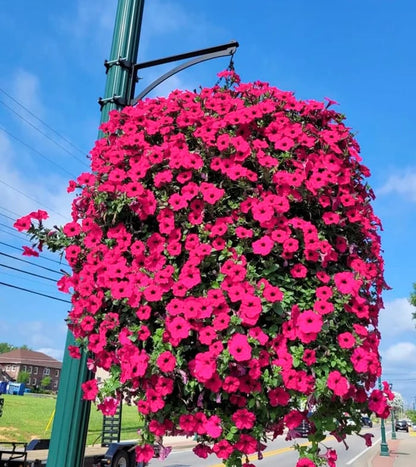 Offre spéciale de la semaine : 75 % de réduction sur une fleur artificielle à effet UV